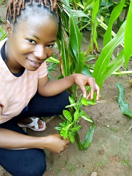 Our Inaction Births Our Reaction Back...