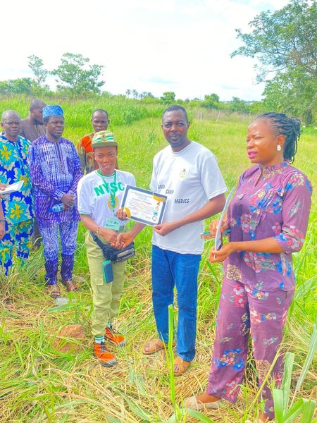 Seven Years of Active Promotion of Sustainable Development Goals