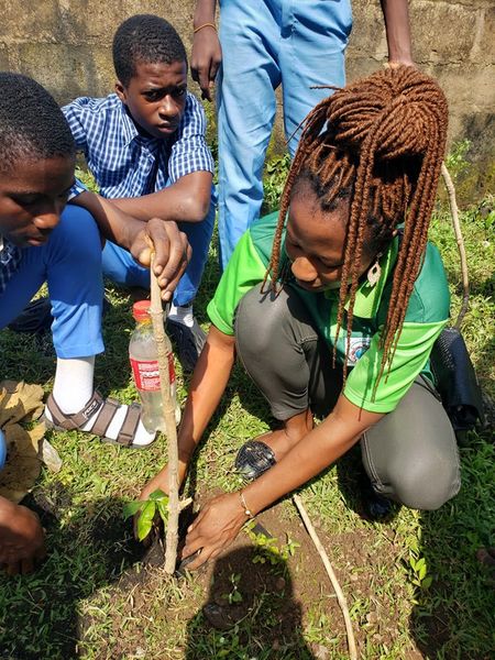 PLANT A TREE, SAVE LIVES