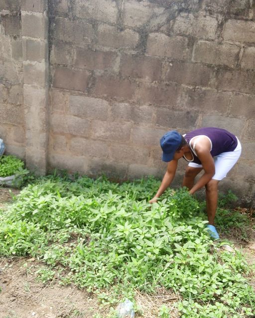 Farming is the first Vocation of Man